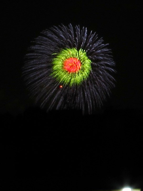 f:id:selmel:20121020201048j:image:w240