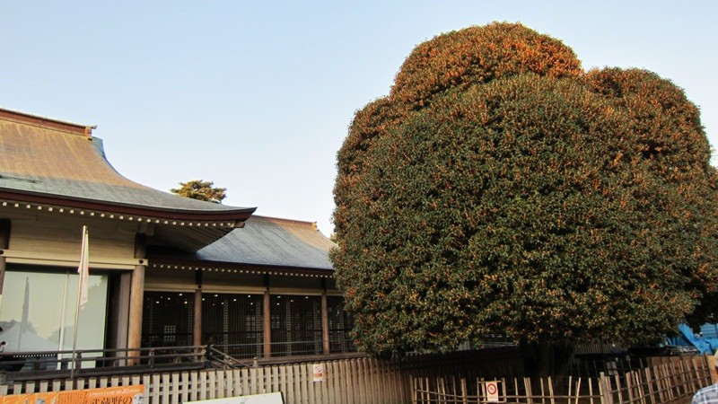 f:id:selmel:20121021202813j:image:w360