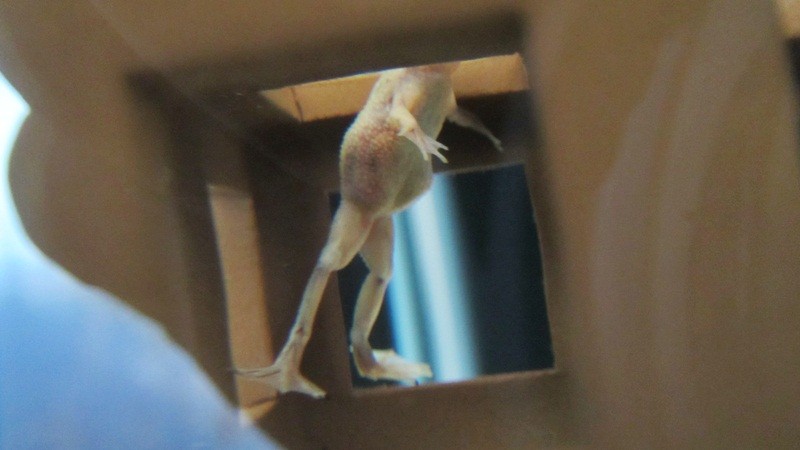 f:id:selmel:20121021211617j:image:w360
