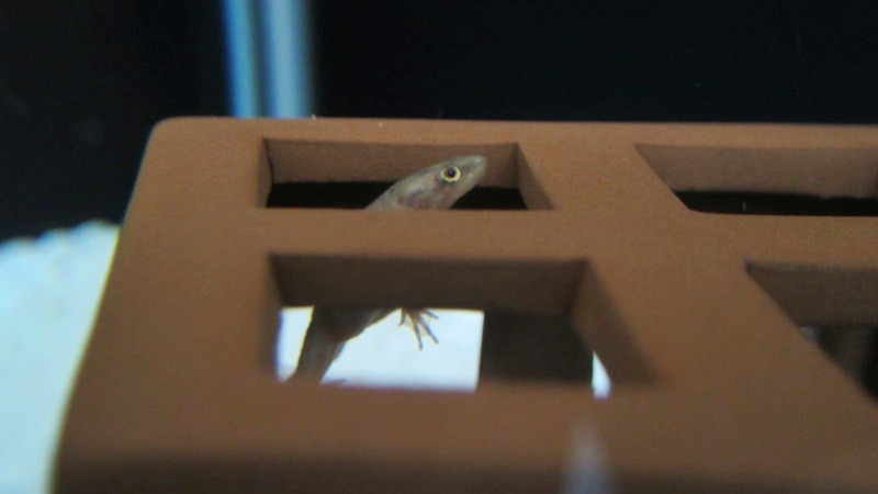 f:id:selmel:20121021211618j:image:w360