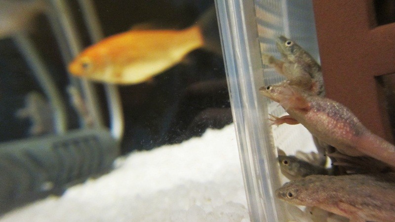 f:id:selmel:20121120234735j:image:w360