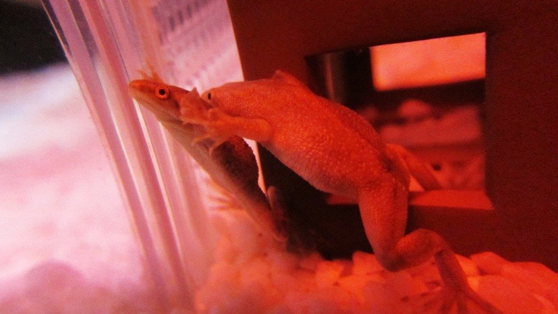 f:id:selmel:20121120234737j:image:w360