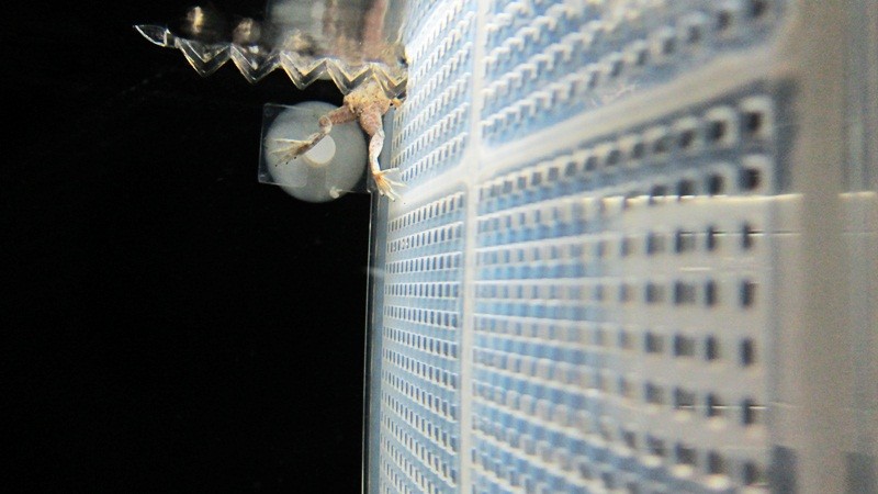 f:id:selmel:20121120235234j:image:w360