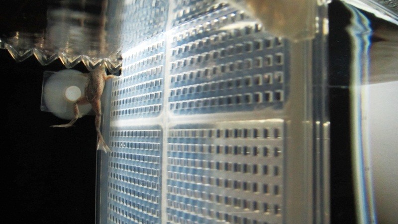 f:id:selmel:20121120235236j:image:w360