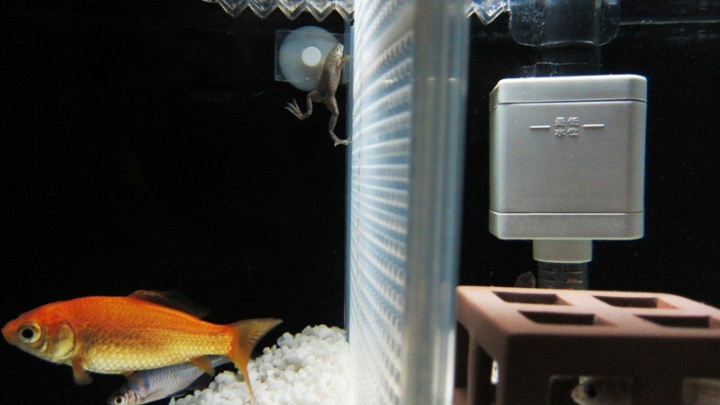 f:id:selmel:20121120235238j:image:w360