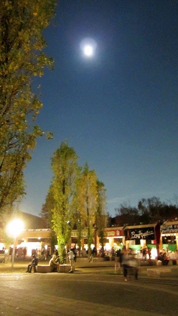 f:id:selmel:20121124215120j:image:w185