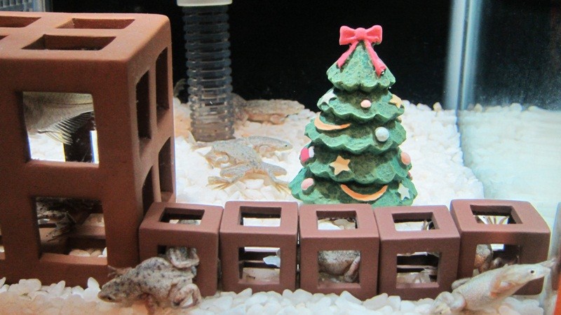 f:id:selmel:20121224220938j:image:w360