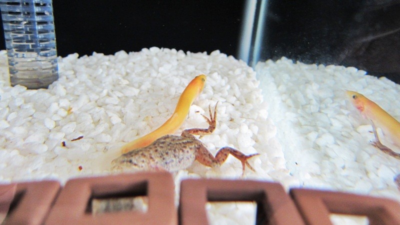 f:id:selmel:20130109225313j:image:w360