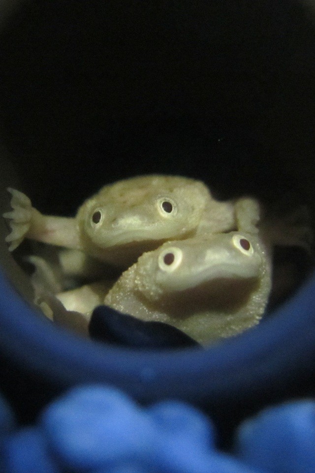 20130110235629