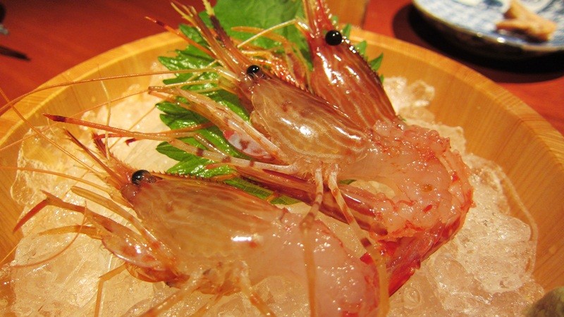 f:id:selmel:20130211134655j:image:w360