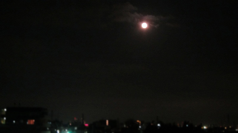 f:id:selmel:20130226224158j:image:w360