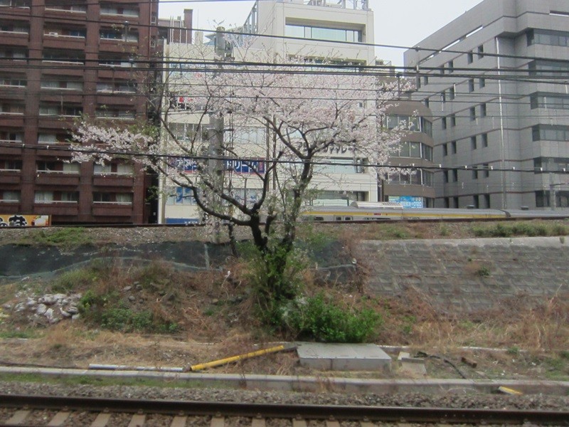 f:id:selmel:20130330213507j:image:w360 f:id:selmel:20130330213507j:image:w360