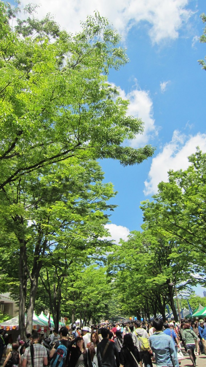 f:id:selmel:20130512142523j:image:w240