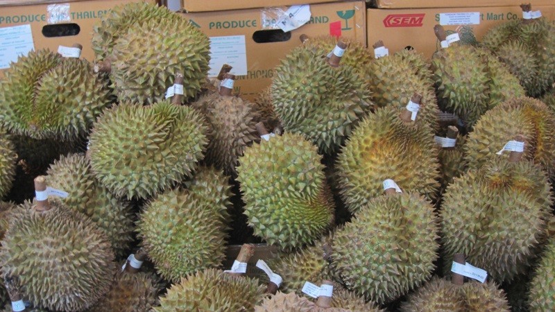 f:id:selmel:20130512145406j:image:w240