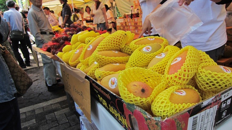 f:id:selmel:20130512145407j:image:w240