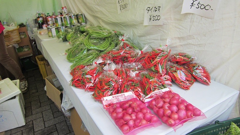 f:id:selmel:20130512145921j:image:w240