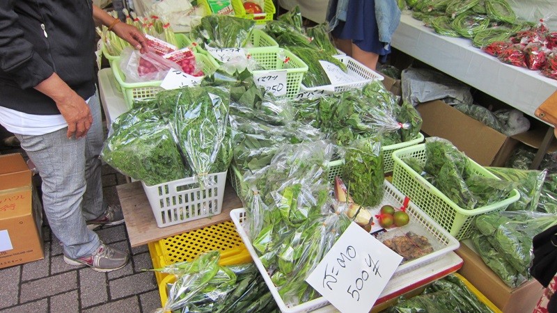 f:id:selmel:20130512145922j:image:w240