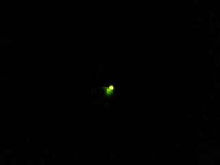 f:id:selmel:20130621002304g:image