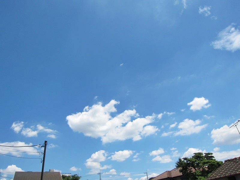 f:id:selmel:20130627154253j:image:w360