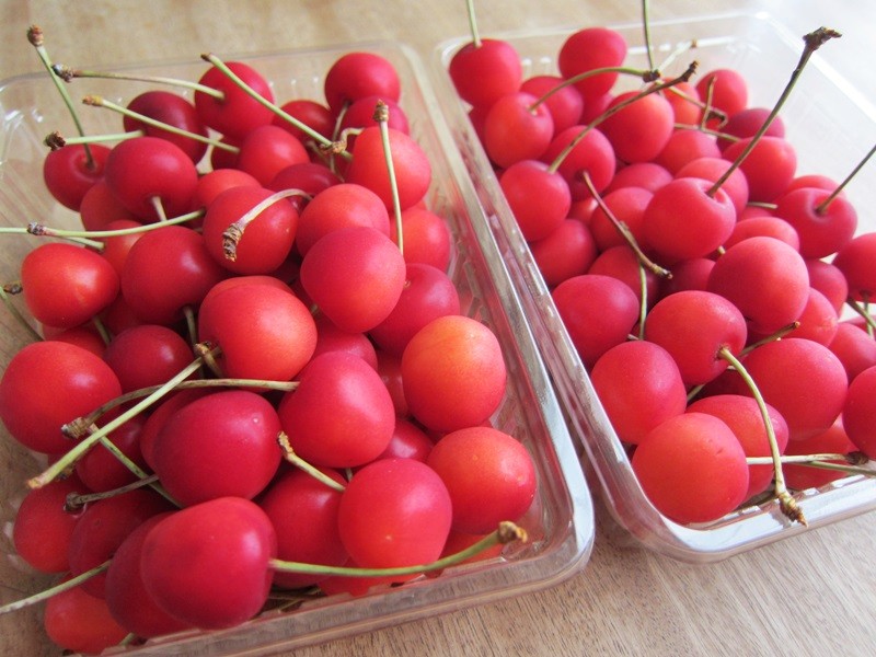 f:id:selmel:20130720210153j:image:w360 f:id:selmel:20130720210153j:image:w360