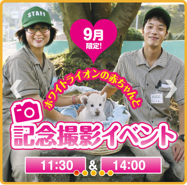 f:id:selmel:20130906195530j:image:w360