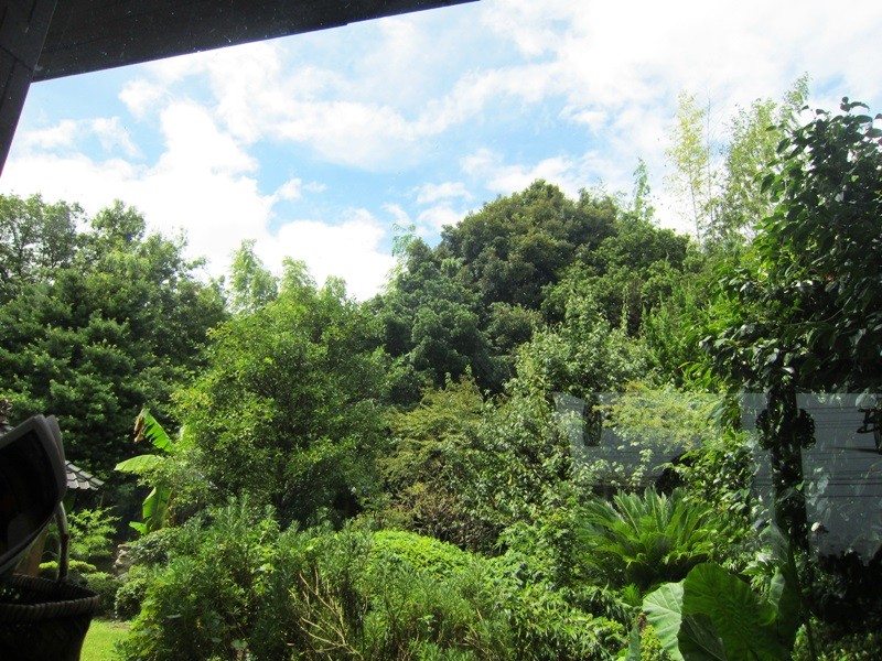 f:id:selmel:20130907183300j:image:w360 f:id:selmel:20130907183300j:image:w360