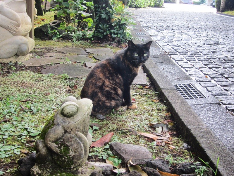 f:id:selmel:20130907183308j:image:w360