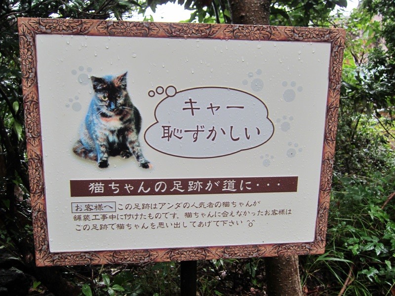 f:id:selmel:20130907183309j:image:w360 f:id:selmel:20130907183309j:image:w360