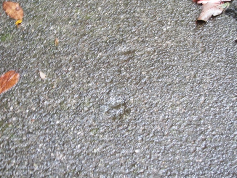 f:id:selmel:20130907183310j:image:w360 f:id:selmel:20130907183310j:image:w360