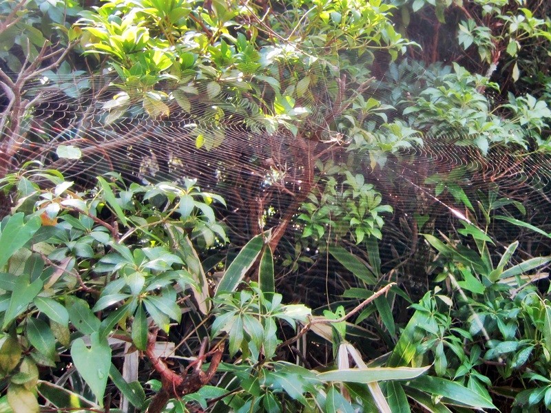 f:id:selmel:20130907183327j:image:w360