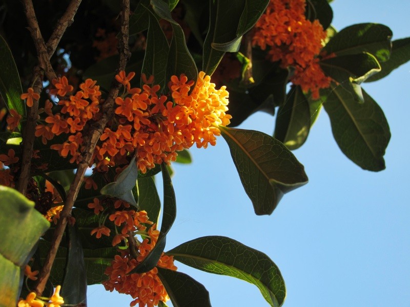 f:id:selmel:20131013203942j:image:w360 f:id:selmel:20131013203942j:image:w360