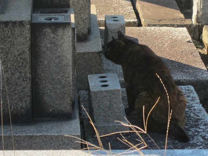 20131027190337