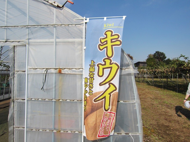 f:id:selmel:20131117192012j:image:w360