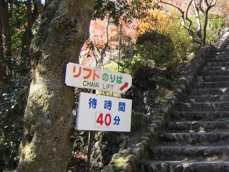 f:id:selmel:20131121194726j:image:w360