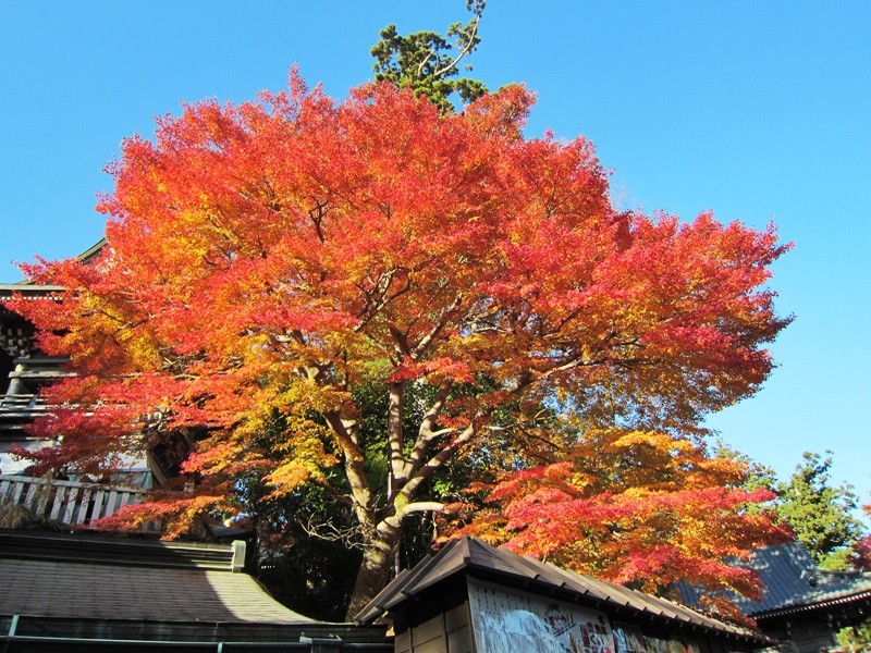 20131121201556