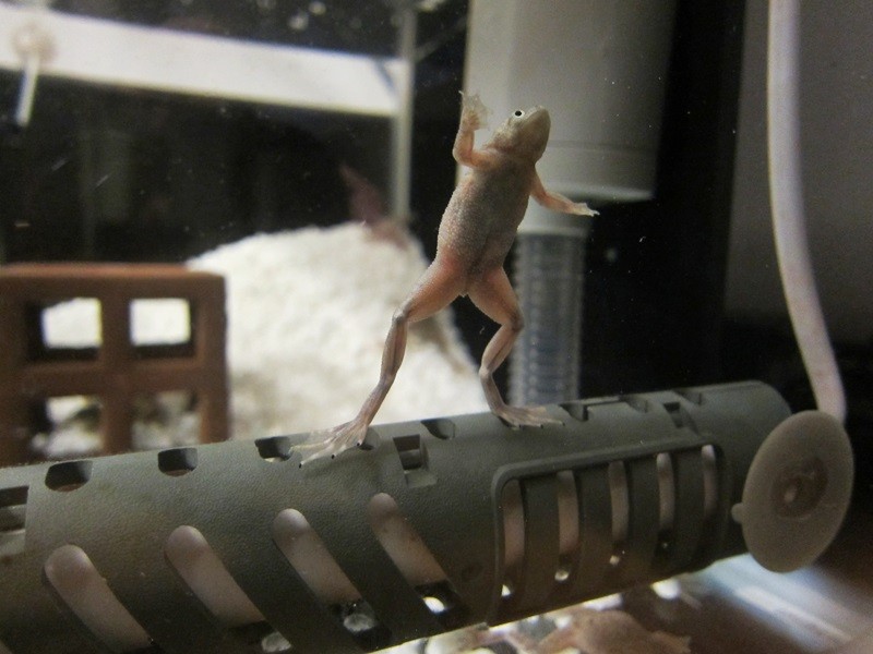 f:id:selmel:20140119205530j:image:w360