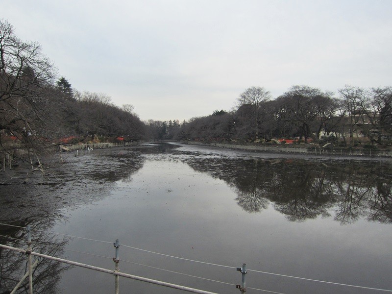 f:id:selmel:20140125192013j:image:w180 f:id:selmel:20140125192013j:image:w180