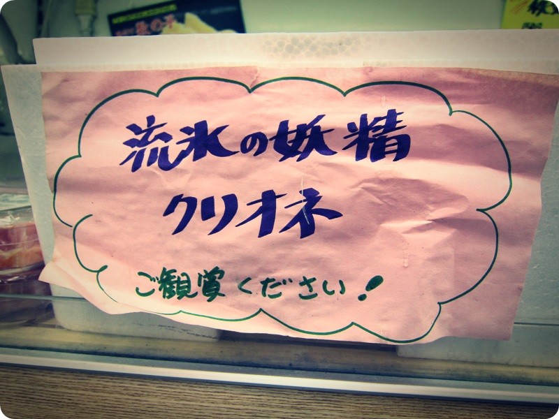 f:id:selmel:20140201152223j:image:w360 f:id:selmel:20140201152223j:image:w360