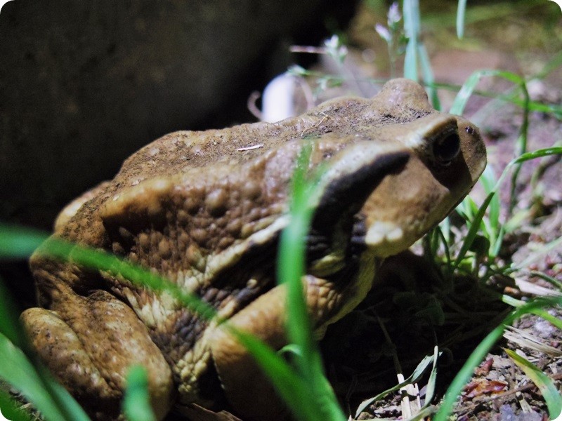 f:id:selmel:20140416232947j:image:w360