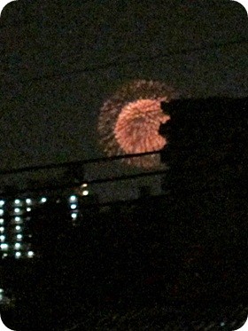 f:id:selmel:20140726205716j:image:w180