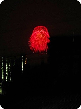 f:id:selmel:20140726205717j:image:w180