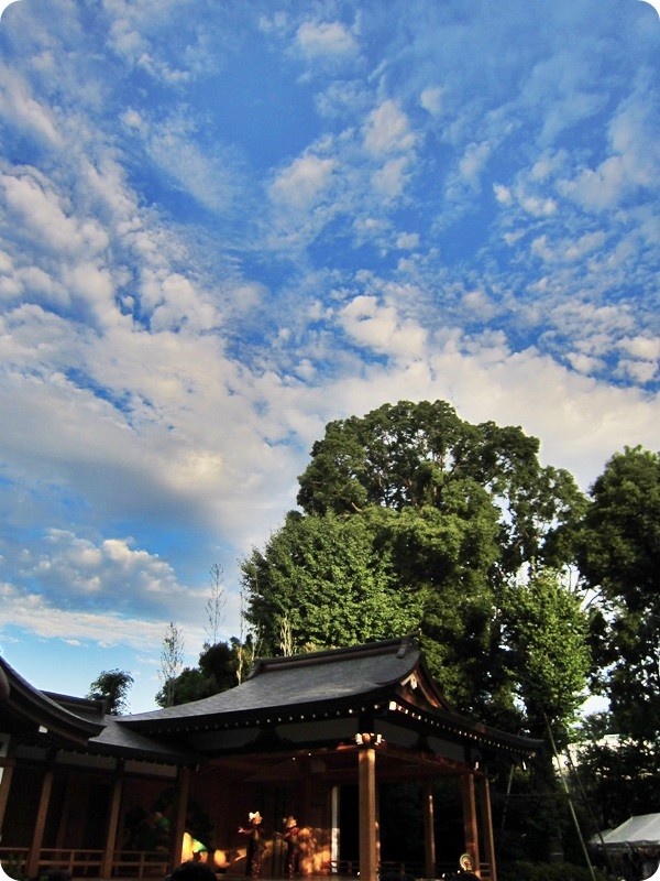 f:id:selmel:20140802231341j:image:w360