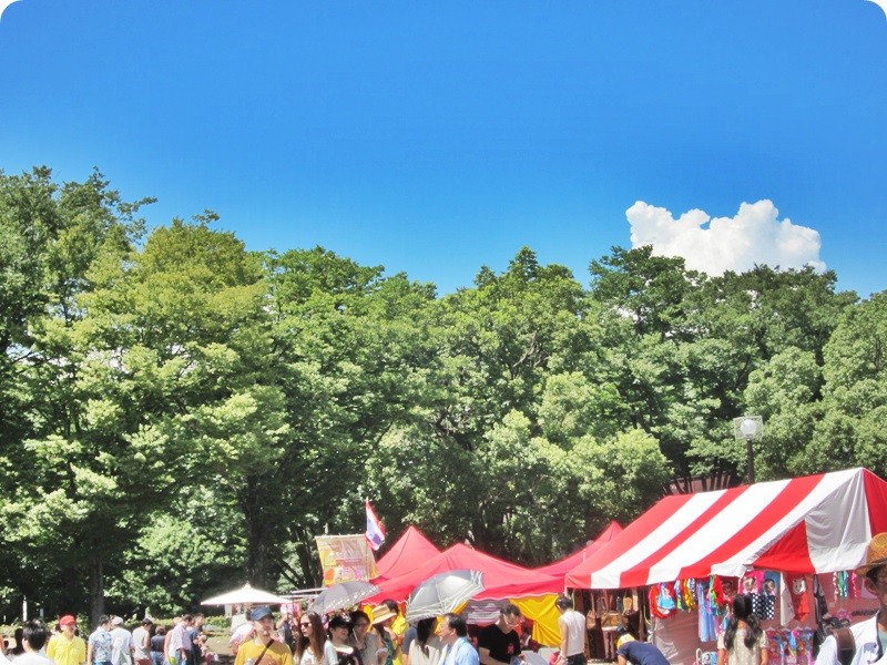 f:id:selmel:20140803180441j:image:w360