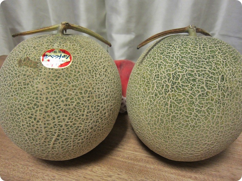 f:id:selmel:20140807224934j:image:w360