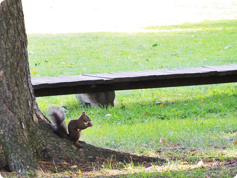 f:id:selmel:20140923134926j:image:w360 f:id:selmel:20140923134926j:image:w360