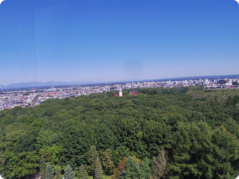 f:id:selmel:20140923155452j:image:w450