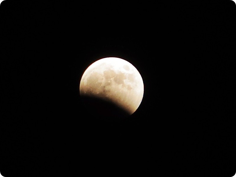 f:id:selmel:20141008220055j:image:w360