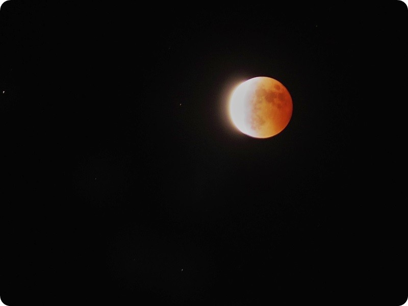 f:id:selmel:20141008220431j:image:w360