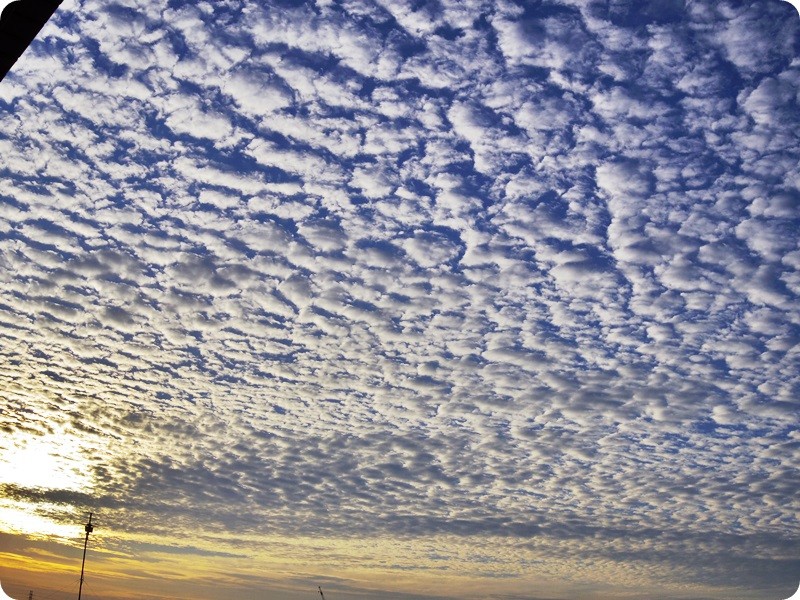 f:id:selmel:20141122072556j:image:w360