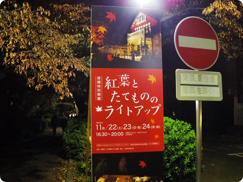 f:id:selmel:20141122230115j:image:w360